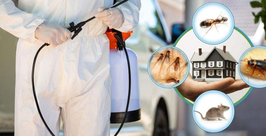 Dalaman Böcek İlaçlama