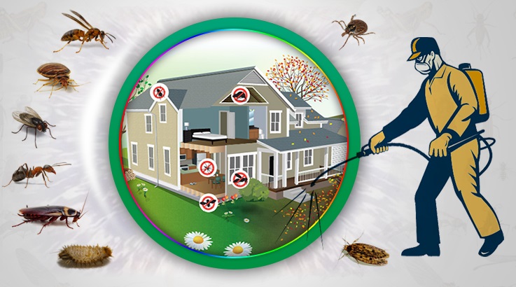 Dalaman Böcek İlaçlama