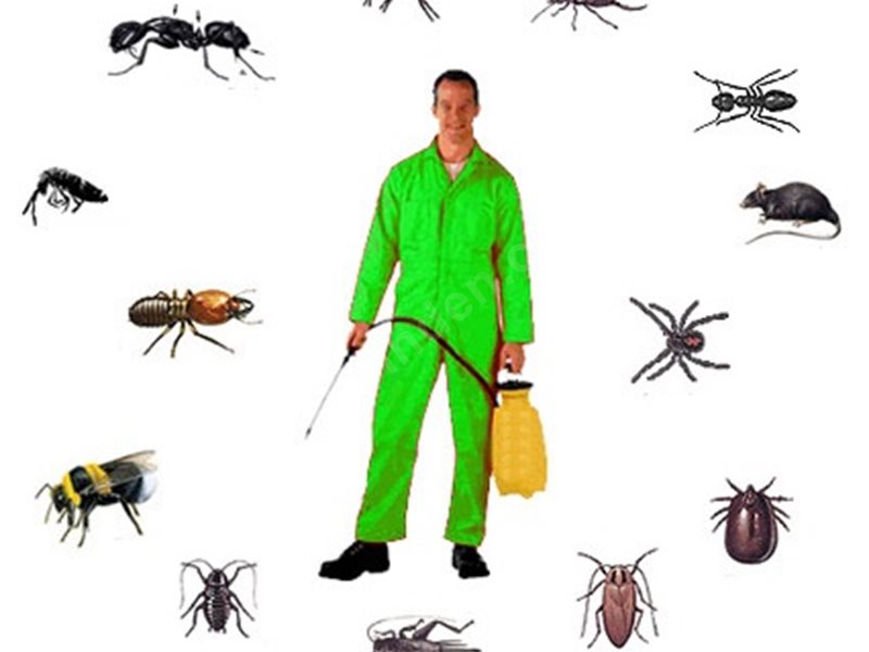 Dalaman Böcek İlaçlama